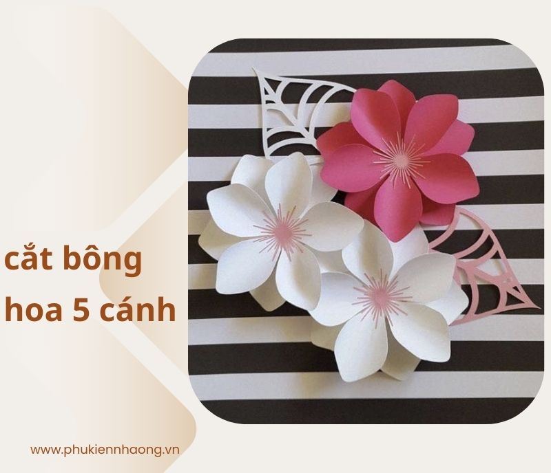 Hướng dẫn cách cắt bông hoa 5 cánh đơn giản tại nhà